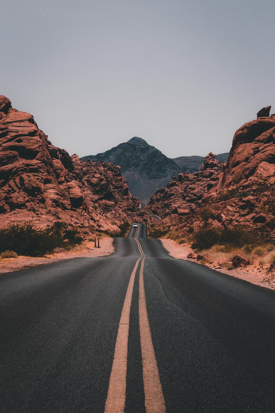 Travel automation system